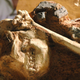 A cast of Little Foot in 2005. It would take over a decade for the real thing to be fully excavated.